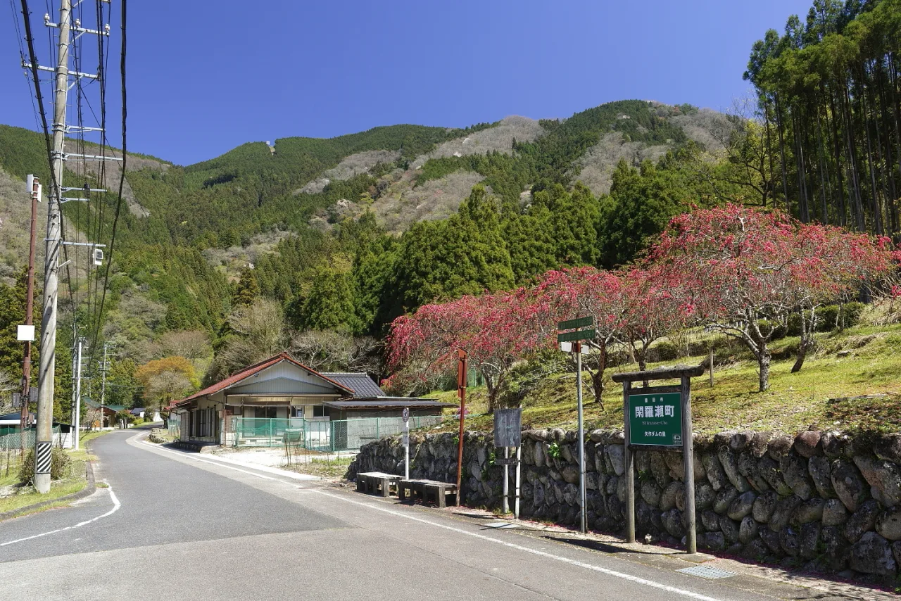 旭高原周辺の風景(View of Shizurase-cho, Ogiri Shizurase-cho Toyota City 2026)