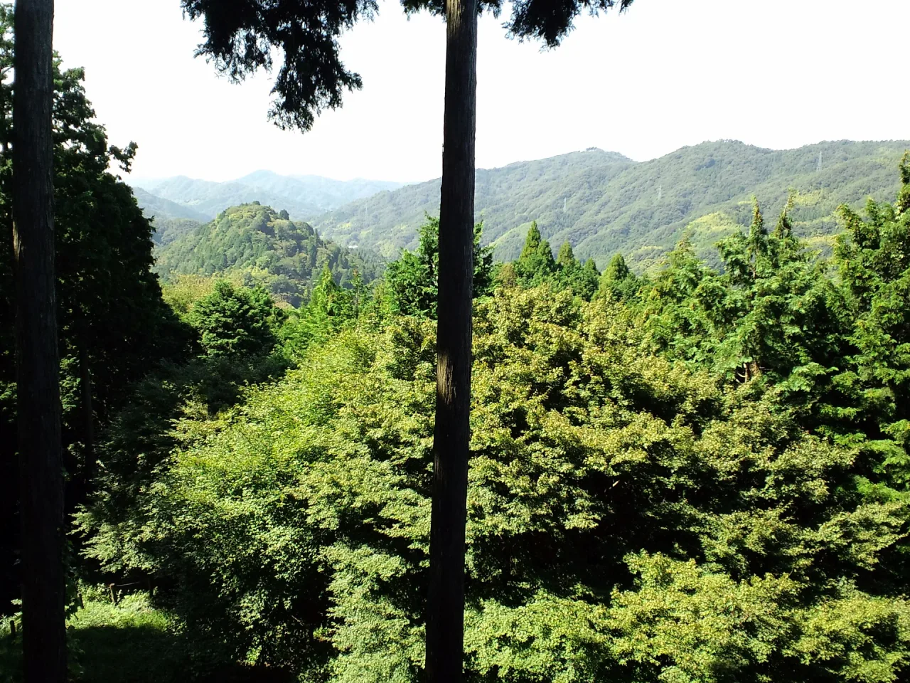 平勝寺周辺の風景（足助城 - panoramio）