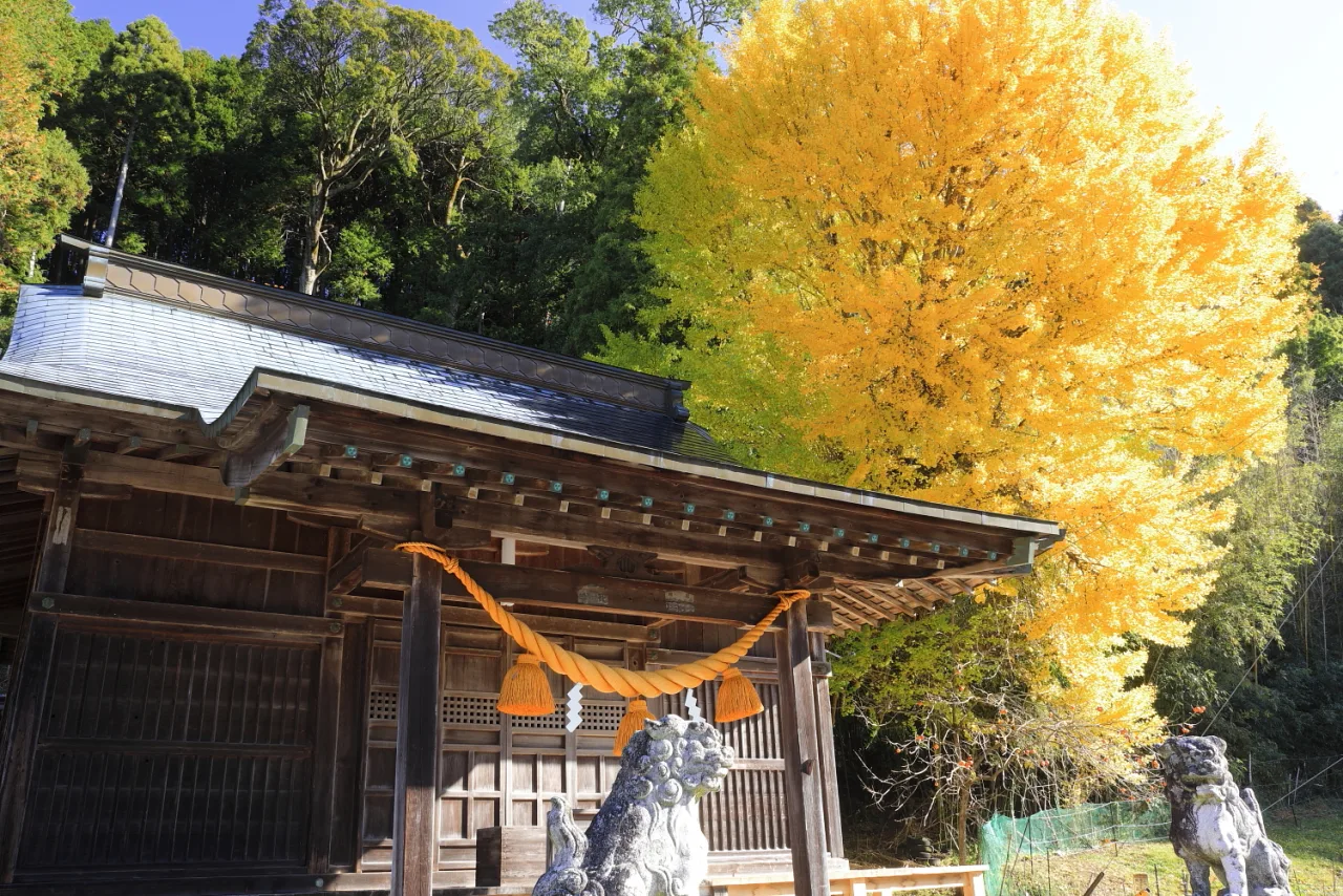 三河湖周辺の風景（Kumano-Jinja Shrine Haiden, Ozeki Habu-cho Toyota City 2019）